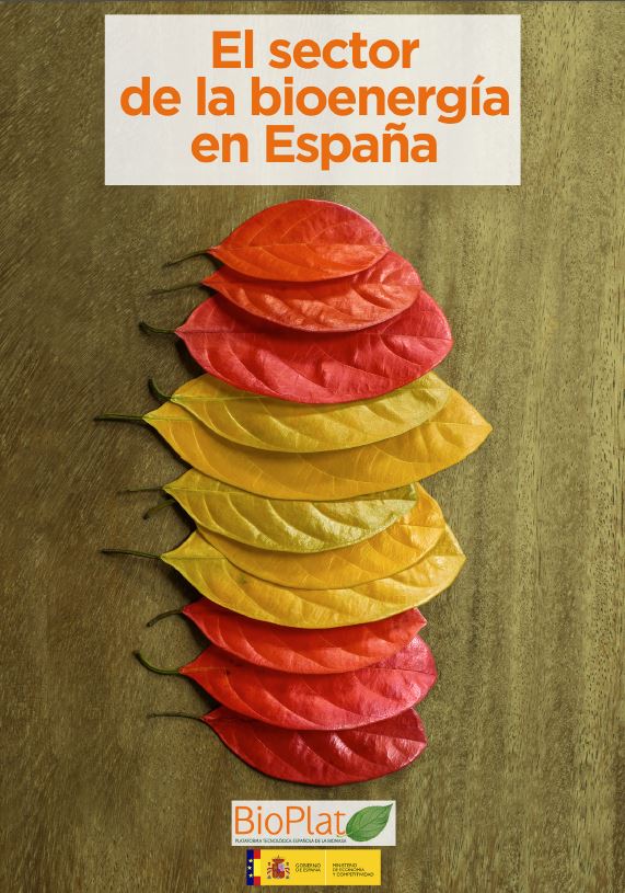 Informe sector bioenergía España dic2015