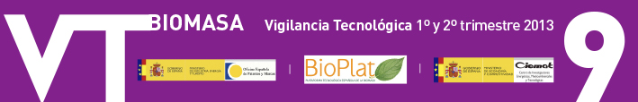 Boletín de Vigilancia Tecnológica del sector de la Biomasa Nº 9 (primer semestre 2013)