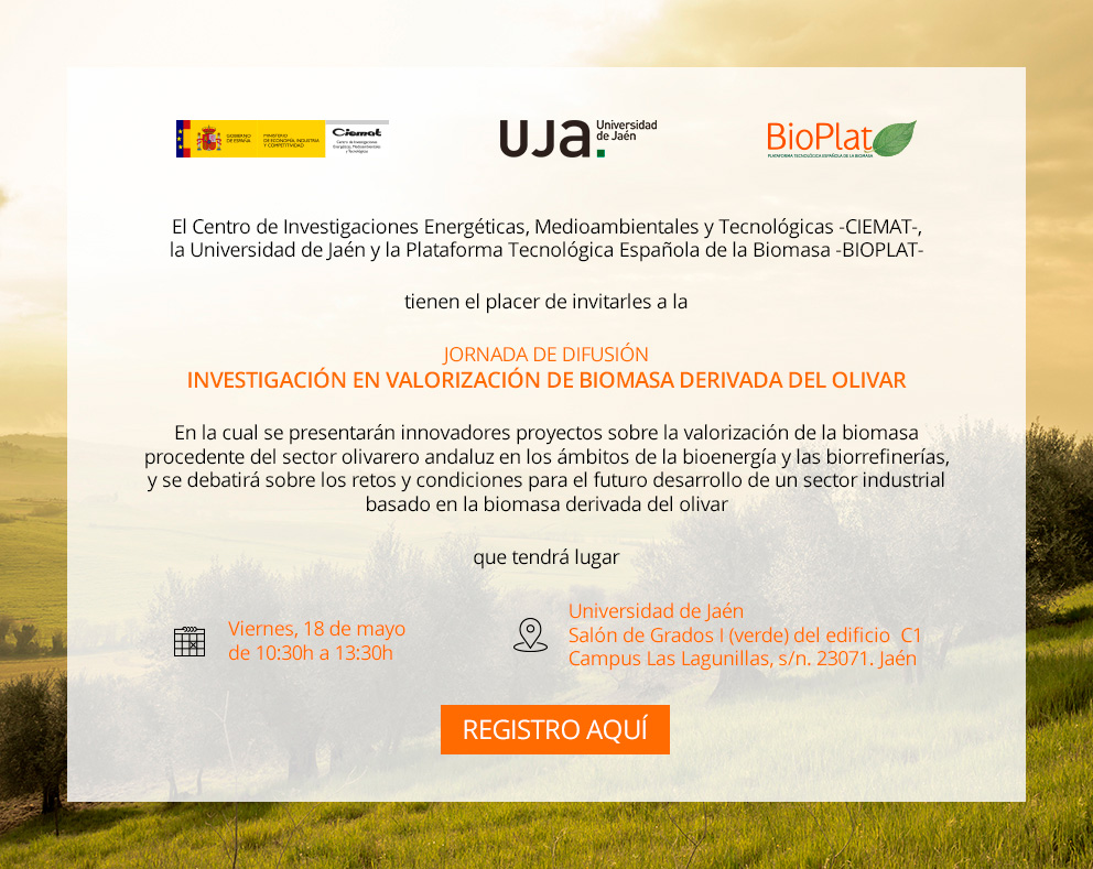BIOPLAT participates in the organization of the Workshop: Research in Valorization of Biomass derived from the Olive Grove