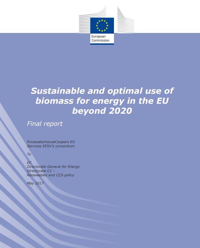 Dos informes de la Comisión Europea analizan el uso sostenible de la biomasa y el biogás a partir de 2020