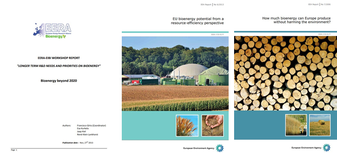 Three key reports on bioenergy in the EU: priorities in R & D, potential and viability of use