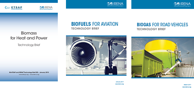 Three ‘Technology Briefs’ on biomass, biofuels for aviation and biogas published by IRENA