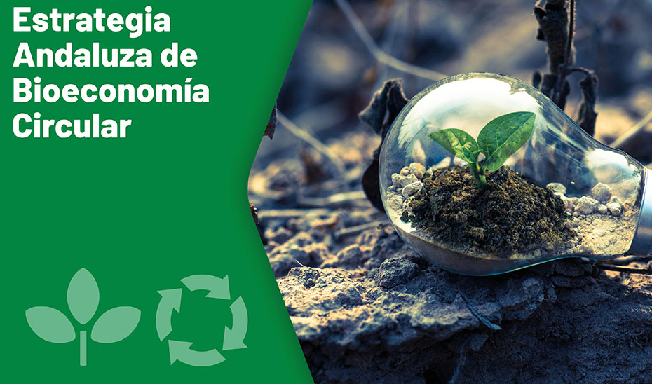 THE ANDALUSIAN STRATEGY OF CIRCULAR BIOECONOMY SEEKS TO IMPULSE THE BIOINDUSTRIES AND THE CONSUMPTION OF BIOPRODUCTS AND BIOENERGY