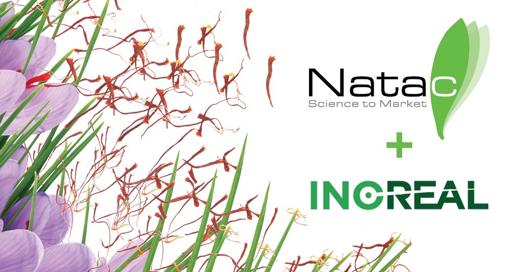 (Español) Natac adquiere la empresa francesa INOREAL y expande su gama de productos de azafrán