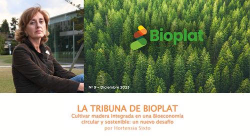 Growing integrated timber in a circular and sustainable bioeconomy: a new challenge