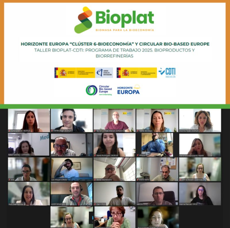 BIOPLAT impulsa el taller sobre el Programa de trabajo 2025 del Clúster 6 de Horizonte Europa y de CBE-JU en el área de bioproductos y biorrefinerías